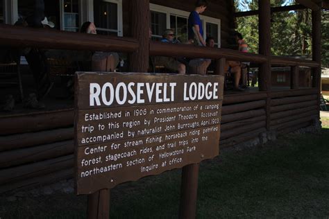 roosevelt lodge yellowstone reservations